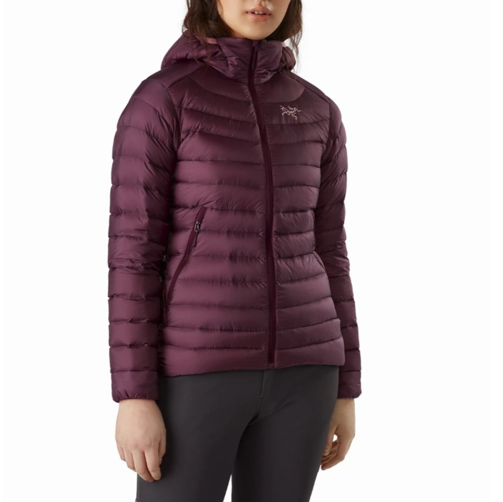 Arc'teryx Cerium LT Hoody Down Jacket Small